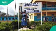 Over 100 students, teachers hospitalised as fresh gas leak hits Ogun schools