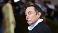 Musk Must: Twitter drags billionaire to court over failed $44 billion deal