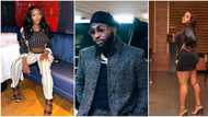"Womanizer": Davido's pregnant side-chic, Anita Brown drops diss track brutal dragging singer, fans react