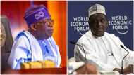 Ex-Jonathan's minister declines top global position for Tinubu's appointment, gives reason