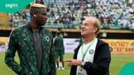 Gernot Rohr gives pride and pain reactions after loss to Nigeria:"I brought Osimhen"