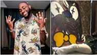 "Private delivery": Davido beams with pride and satisfaction as he acquires N10m painting