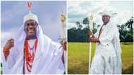 Ooni of Ife makes stunning revelation, narrates how he almost committed suicide over loan