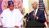 President Biden urged to sanction Buhari’s officials over alleged serious offence