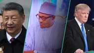 Buhari’s death: US, China, India react to Nigerian leader’s passing