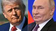 US senators aim to arm Trump with 'sledgehammer' sanctions against Russia