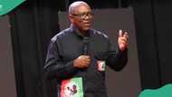 Full text: What Peter Obi said about Supreme Court verdict at world press conference