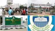 2023 World university ranking: ABU, UNN, other Nigerian varsities on global list