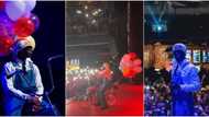 "He's so cool": Moment Rema arrived Texas show on a bicycle with colourful balloons, 'oyinbo' fans go wild