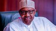 Kada ku bar masu gulma da tsegumi su raba kawunanmu, Buhari ga 'yan Najeriya