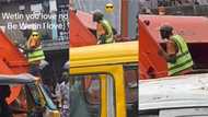 Man who works for trash company dances while hanging on moving truck, trending video melts hearts