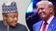 "Why Nigerians should not be concerned about Trump's re-election": Top PDP chieftain speaks