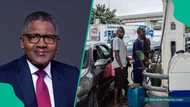 "Danyen mai ya tashi a duniya," Dangote ya fadi saukin da ya yi a karin farashin fetur