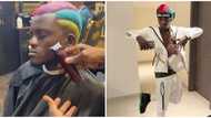 Zazoo rainbow: Singer Portable debuts colourful new hairstyle, fans react