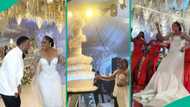 Sharon Ooja's lavish wedding reception: Videos as actress shows dance moves, giant cake stuns fans