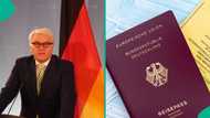 Germany releases guidelines on how new citizens can apply for German passport