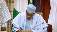 Buhari approves disbursement N600bn for capital projects