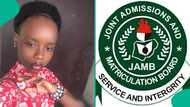 UTME 2026: Lady who wants to study theatre arts posts her JAMB result online, score trends