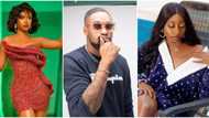 "It's not fair everyone is talking about abuse": Doyin talks about how Sheggz treats Bella like a princess
