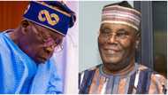 List of 3 "defining" documents admitted in evidence against President Tinubu as Atiku closes case