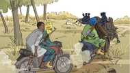 'Yan Bindiga Sun Kai Hari Shinkafi Bayan Tura Wasiƙa, Sun Kutsa Ofisoshin 'Yan Sanda Sun Saci Bindigu