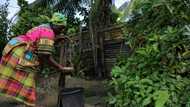 Dozens of Suriname villages await aid following unprecedented floods