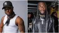 Burna Boy jams to King Promise's Terminator, Video stirs mixed reactions from Ghanaians