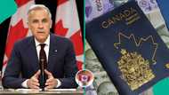 Canada launches online passport renewal for eligible adults