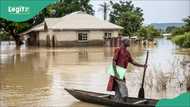 Niger flood of fury: “How I lost 17 members of my household,” Victim speaks