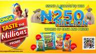 Onga marks 10th anniversary with N250m cash and prizes in Taste The Millions promo