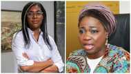Abike Dabiri-Erewa reacts to UK parlimanetarian's comment on Nigeria