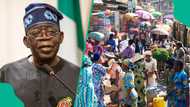 Tinubu’s policy U-turns: 4 economic policies FG suspended after public backlash