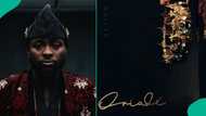 Davido unveils full tracklist for Oriadé ahead of album release