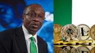 Nigerians react as CBN says cryptocurrency is activities of players from "dark world" in viral video
