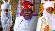 Kungiya ta fadawa Tinubu ribar da zai samu idan ya sasanta rikicin masarautar Kano