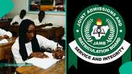 JAMB 2026: Full scores of science student who had sleepless nights preparing for UTME goes viral