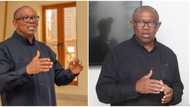 Peter Obi says he will not celebrate his 62nd birthday, gives reason