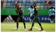 Fans slam Golden Eaglets for making them stay up late and still lose to the Netherlands