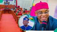 David Mark mentions what the Nigerian Senate has turned into since emergence of Akpabio, Tinubu