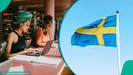 Sweden lists required documents for foreign PhD students seeking permanent residency