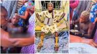 Portable Zazu gets kingly treat as older woman fans him while he eats in viral video, fans react