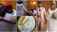 Stan Nze and wife Blessing cry like babies in adorable video showing moment they said yes to each other