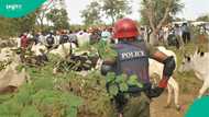 50 members of group tragically killed, 200 cows taken