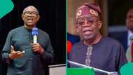Chief Marcillinus Nlemigbo urges Igbo voters to support Tinubu’s 2027 presidential bid