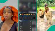 Father calls out daughter for dangerous holiday video ‘chilling’ with lions