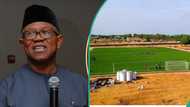Peter Obi lambasts "corrupt" NFF leaders, labels them as real Yahoo boys