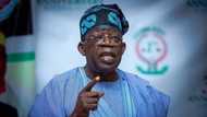 2023 presidency: APC's flag bearer, Tinubu gets major endorsement from unlikeliest caucus