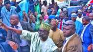 'Albarka Ce' Tsohon Na Hannun Daman Buhari Ya Magantu Kan Sauya Shekar Shekarau Zuwa PDP