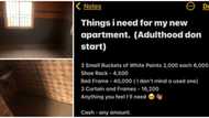 Nigerian man seeks help to furnish empty self-con after moving out of parents' house, photos cause stir