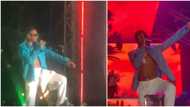 E Choke: Wizkid uses popular Davido slang, warns crowd to stop pushing, choking each other at his Lagos show